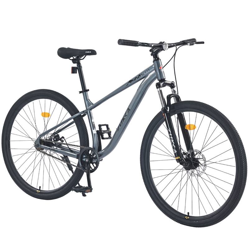 Unisex Mountain Bike - Front Suspension, Steel Frame, Single Speed - 29