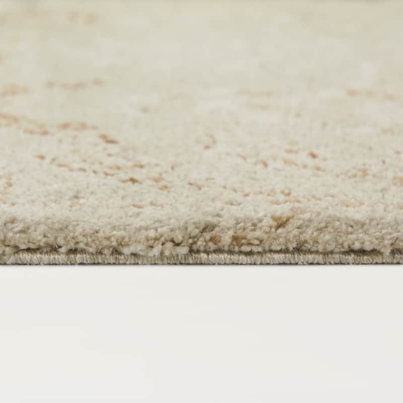 Harmonia Floral Transitional Area Rug