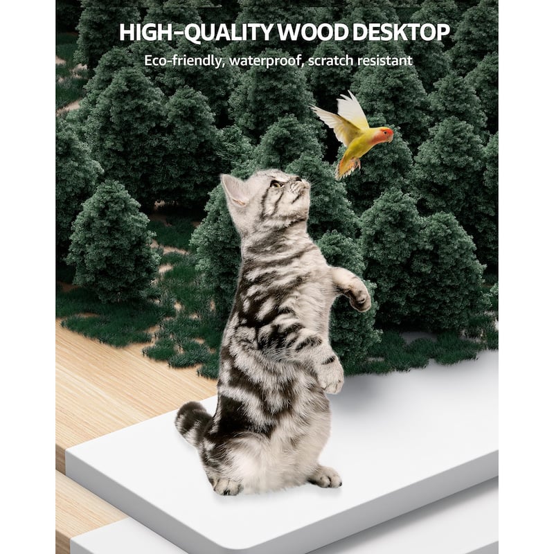 SIAGO Electric Standing Desk Height Adjustable Computer Desk with Cable Management & Spacious Work Surface