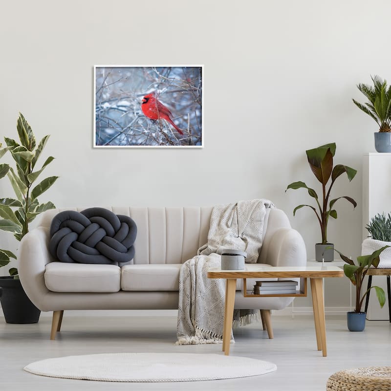 Stupell Cardinal in Winter Branches Framed Giclee Art Design by Karen Burke
