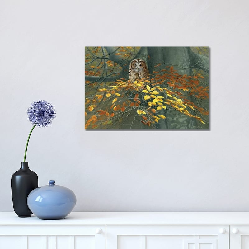 iCanvas "Tawny Owl Autumn" by Jeremy Paul Canvas Print - 12x18x1.5