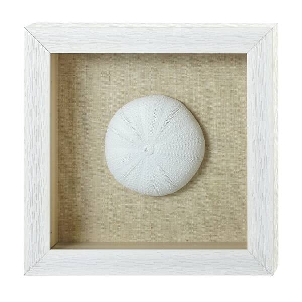 Shop 9 75 X 9 75 Sea Urchin Shadow Box Wall Decor Free