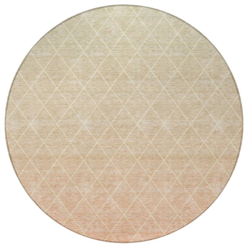 HomeRoots Geometric Transitional Rectangle Outdoor Rug