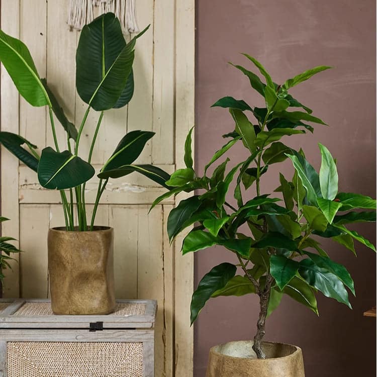 RusticReach Modern Magnesium Planter