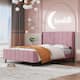 Option Pink