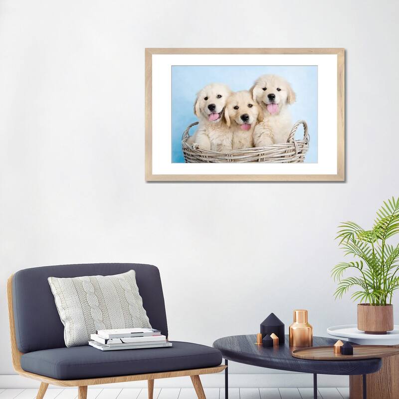 iCanvas "Buffy, Biskit, And Beau" by Rachael Hale
