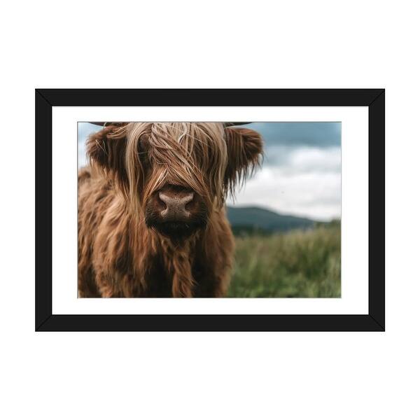 slide 2 of 20, iCanvas "Portrait Of A Young Scottish Wooly Highland Cattle" by Michael Schauer PFA Black - 24x32x1