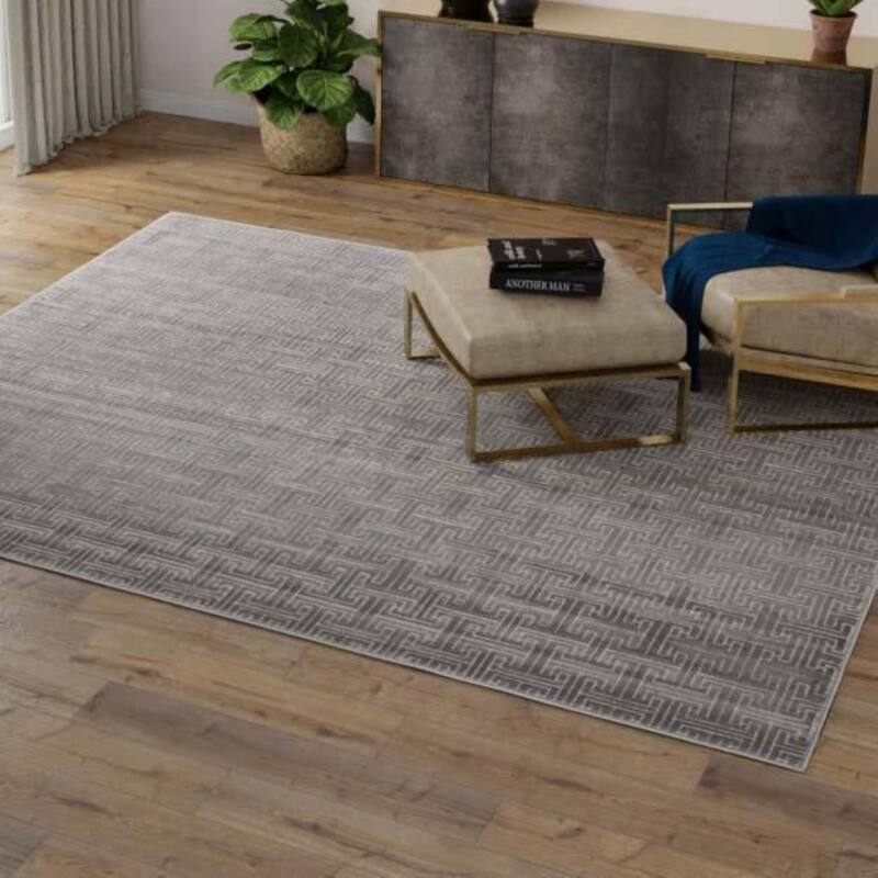 Contemporary Richye Collection Area Rug