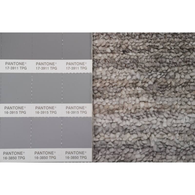 Hand Knotted Oriental Viscose Silk Carpet Tribal Animal Pictorial Greys & Charcoal Gabbeh Area Rug - 11' 8'' X 5' 0''