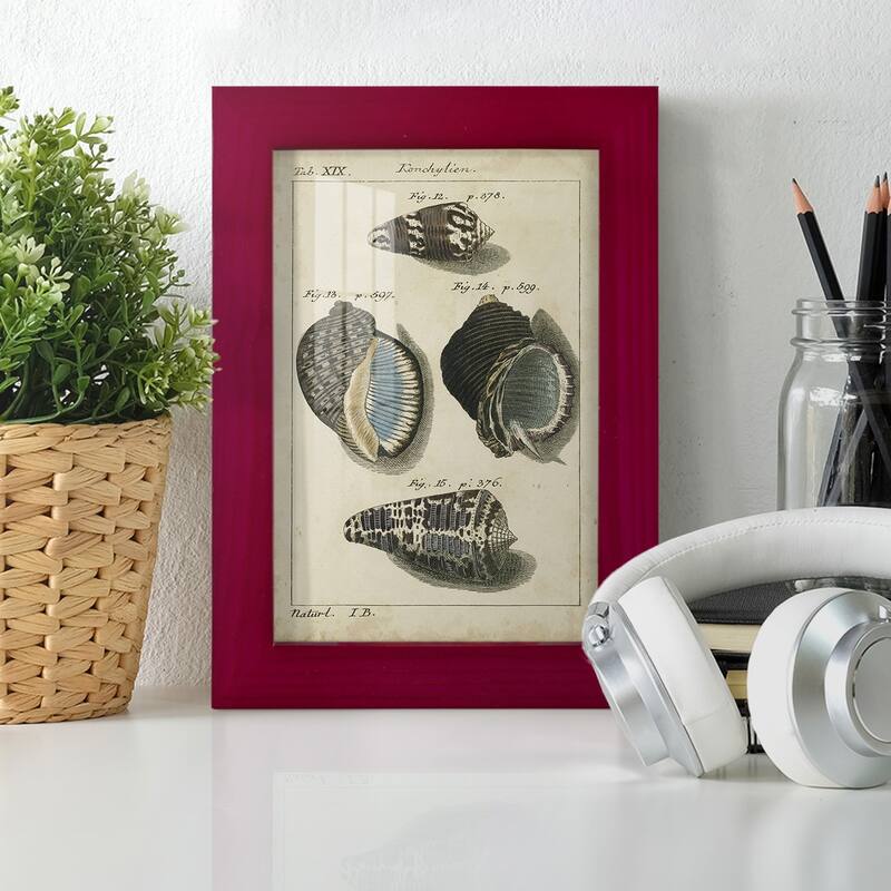 Vintage Shell Study III -Framed Print w/glass-Cherry Red