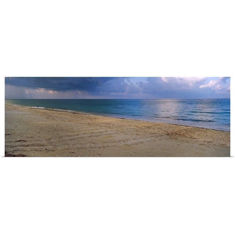 Loggerhead turtle (Caretta caretta) tracks on the beach, Casey Key, Osprey, Sarasota County, Florida, - Multi