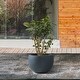 preview thumbnail 20 of 19, Kante 8 in. H Concrete and Fiberglass Round Bowl Planter, Outdoor Indoor Large Planters Pots with Drainage Hole