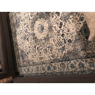 Safavieh Evoke Annabel Vintage Shabby Chic Oriental Rug