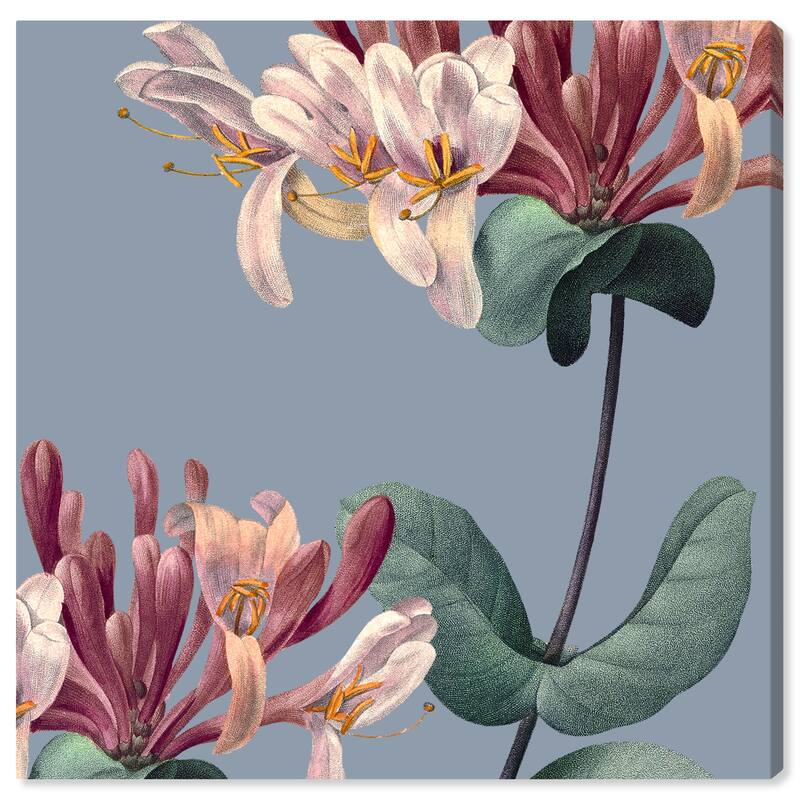 Wynwood Studio Canvas Floral and Botanical Flower II Blue and Traditional Wall Art Canvas Print