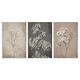 preview thumbnail 1 of 8, Stupell Botanical Baby's Breath Herbs 3 Piece Wall Plaque Art Set Design by Ros Ruseva 10 x 15