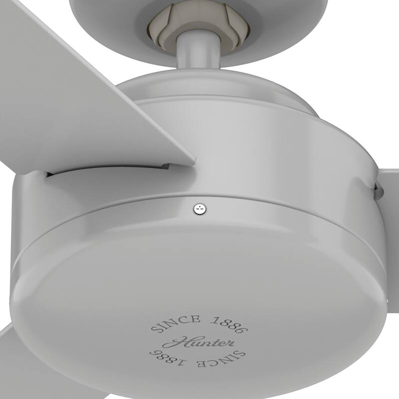 Hunter 52" and 44" Presto Ceiling Fan w/ Wall Control - Contemporary, Industrial, Scandinavian