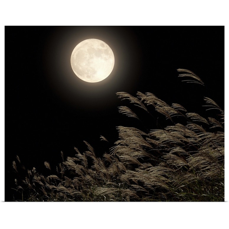 Grass and full moon