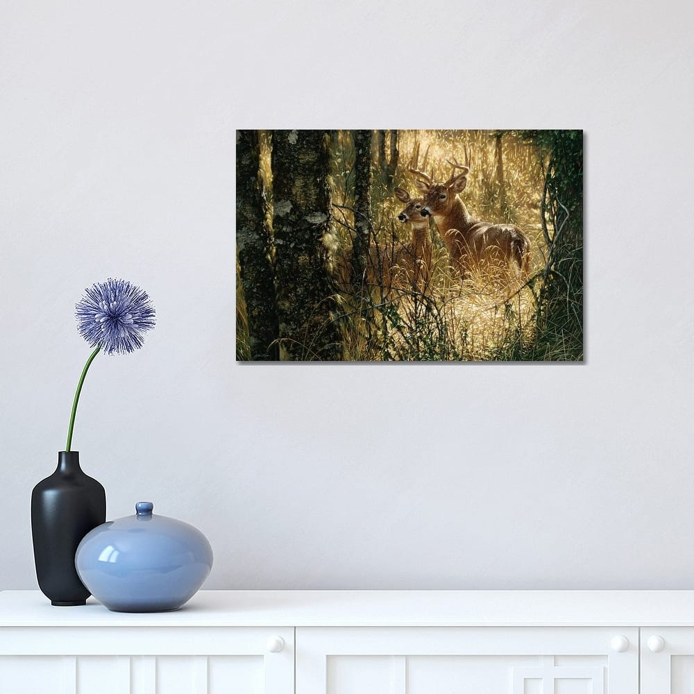iCanvas "A Golden Moment - Whitetail Deer, Horizontal" by Collin Bogle Canvas Print