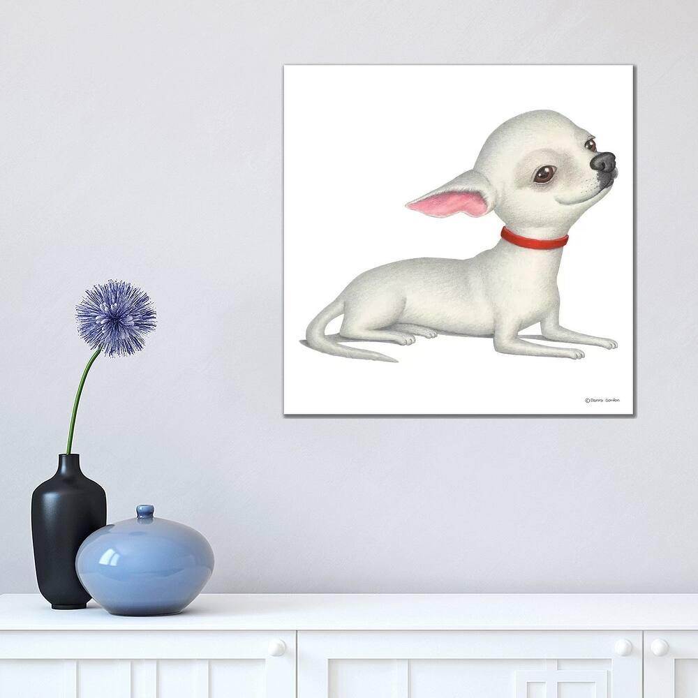 iCanvas "Chihuahua White" by Danny Gordon Canvas Print