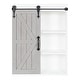 preview thumbnail 53 of 57, Kate and Laurel Cates Decorative Wood Cabinet with Sliding Barn Door - 22x28