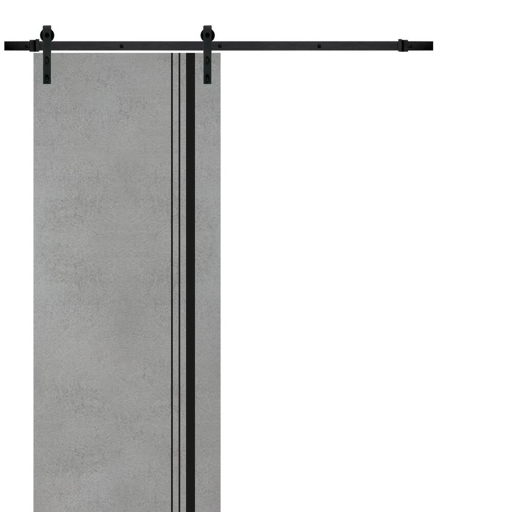Sturdy Barn Door 36 x 80 Planum 0011 Concrete with 6.6FT