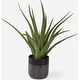 preview thumbnail 3 of 1, Uttermost 60204 Tucson 19" Tall Ceramic Faux Flora Planter - Matte Glass