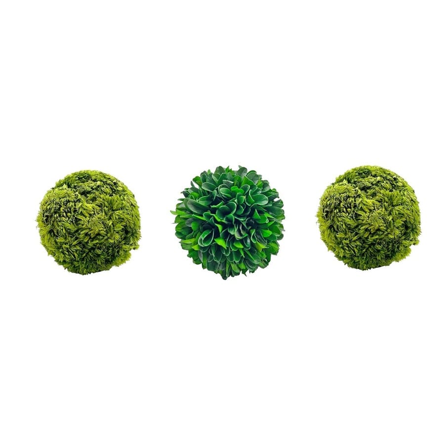 Preserved Decorative Boxwood and Cockscomb Topiary Balls - Set of 3