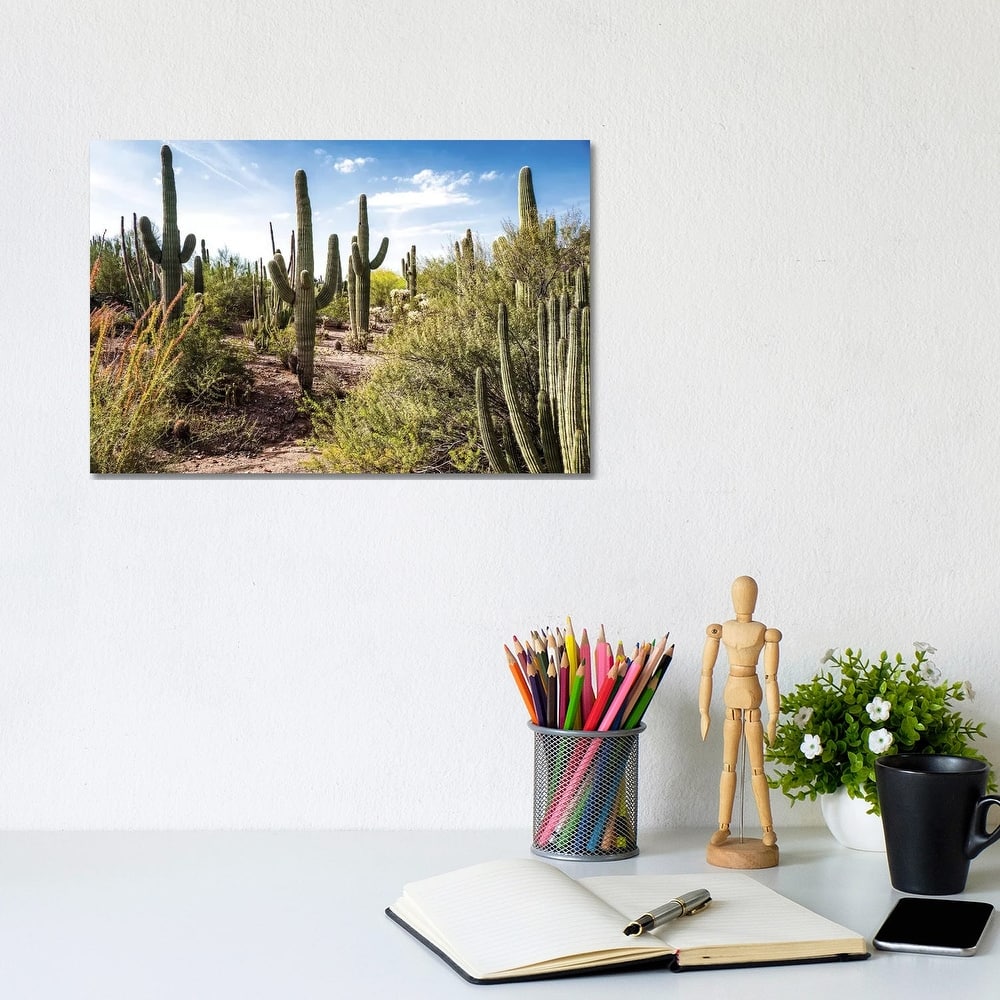 iCanvas "Into the Desert" by Bill Carson Photography Canvas Print