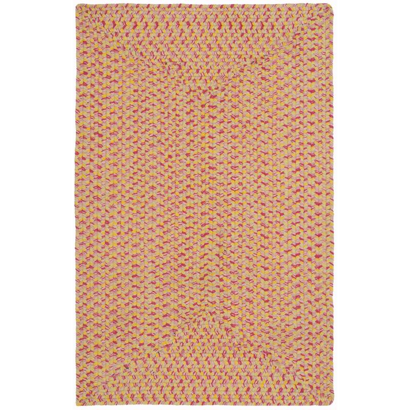 SAFAVIEH Handmade Braided Mariea Country Cotton Rug - 2'6" x 4' - Multi