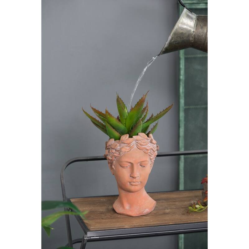 D7x11" Visage Head Bust Planter, Brown