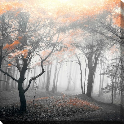 "Autumn Woods" by PhotoINC Studio I Print on Canvas