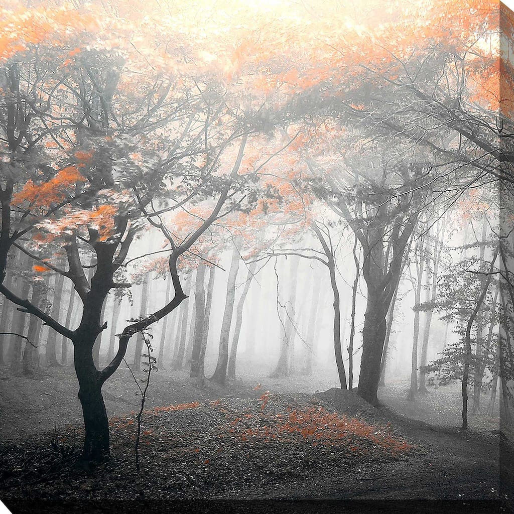 "Autumn Woods" by PhotoINC Studio I Print on Canvas