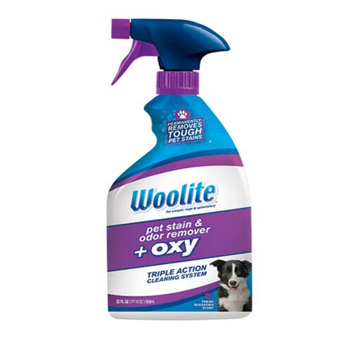 Buy Carpet Cleaners Online at Overstock | Our Best Vacuums ...
