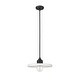 preview thumbnail 7 of 6, Paloma 1 Light Pendant - Matte Black
