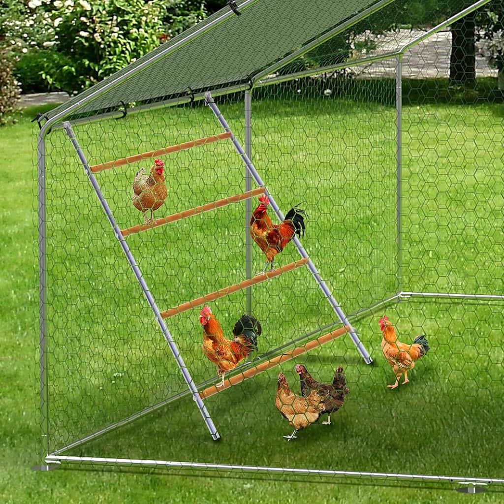 Chicken Perch for Coop for Backyard Farm Chickens in Coop