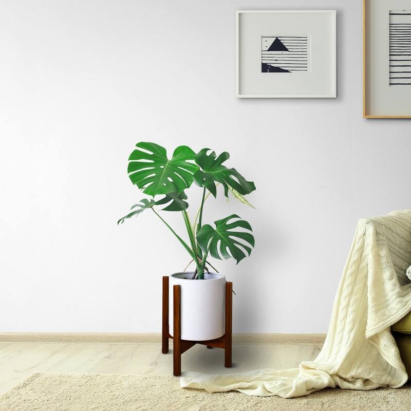 Mid-Century Modern Wood Plant Display Stand (Stand Only)