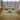 Premium Washable Super Soft Modern Floral Mayfield Rug