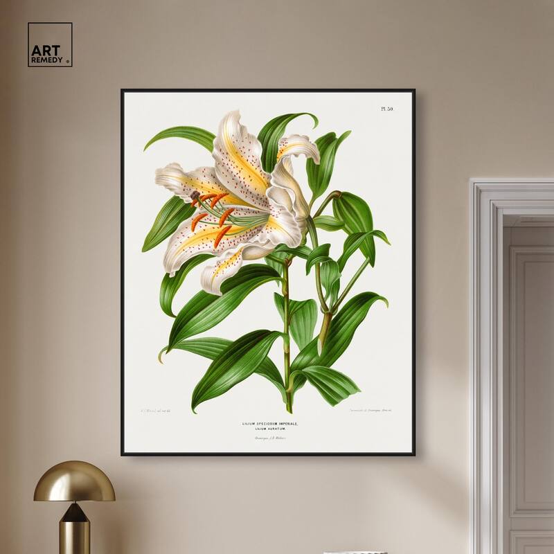 Lilium Speciosum Imperiale Canvas by Art Remedy