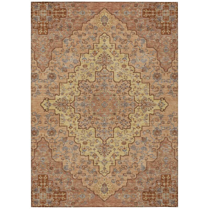 Machine Washable Indoor/ Outdoor Traditional Karachy Chantille Rug