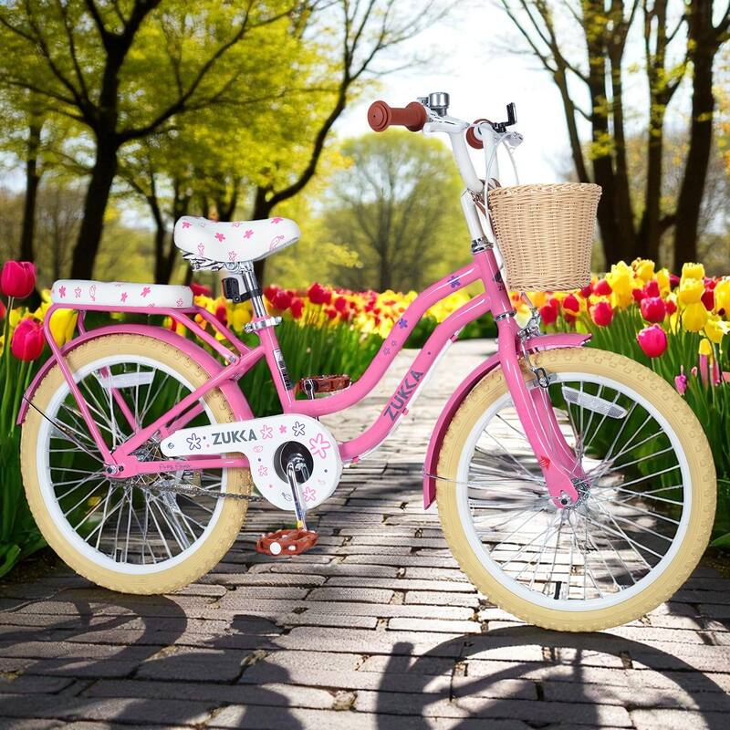 Girls 20 Inch Bike with Basket, Steel Frame, Front & Rear Brakes, For Kids Ages 7-10, No Training Wheels - Pink