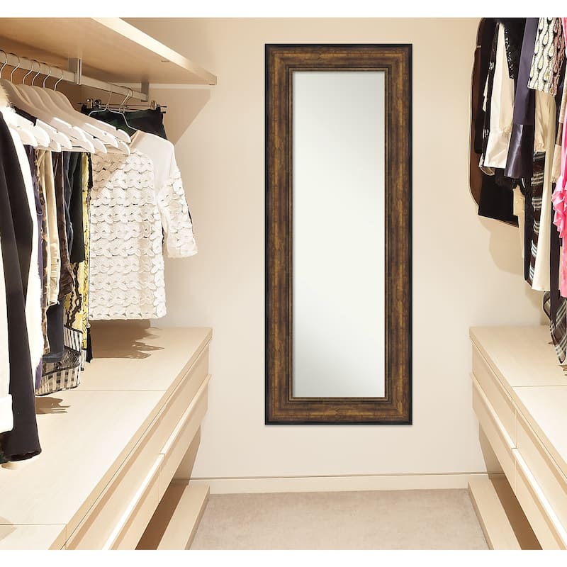Non-Beveled Full Length On The Door Mirror - Ballroom Bronze Frame - Ballroom Bronze - Glass Size 14 x 48