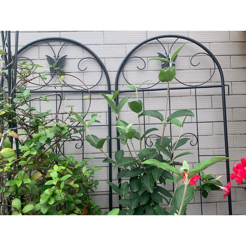 Metal Garden Trellis, 2 Pack Metal Trellis for Climbing Plants, Indoor/Outdoor Plant Trellis, Lawn Garden Fence Decor Screen