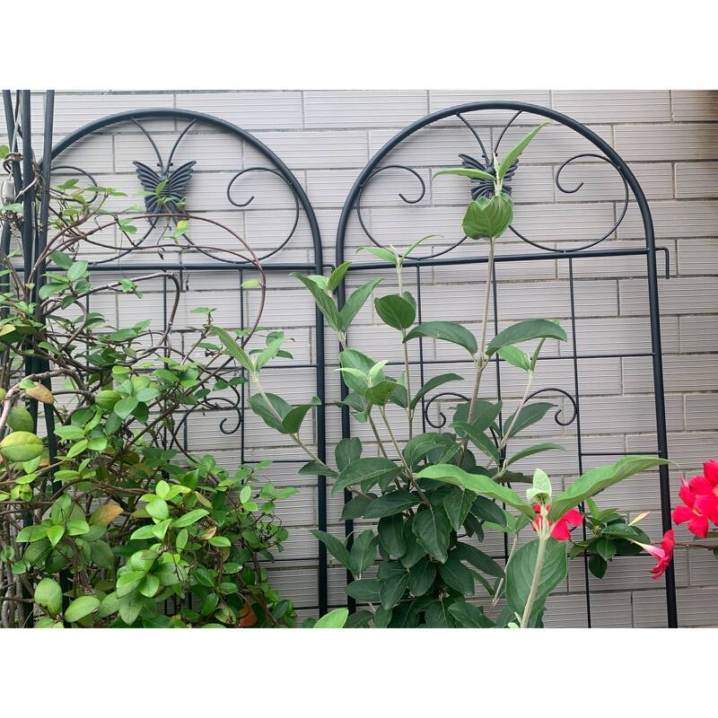 Metal Garden Trellis, 2 Pack Metal Trellis for Climbing Plants, Indoor/Outdoor Plant Trellis for Potted Plants House Plants