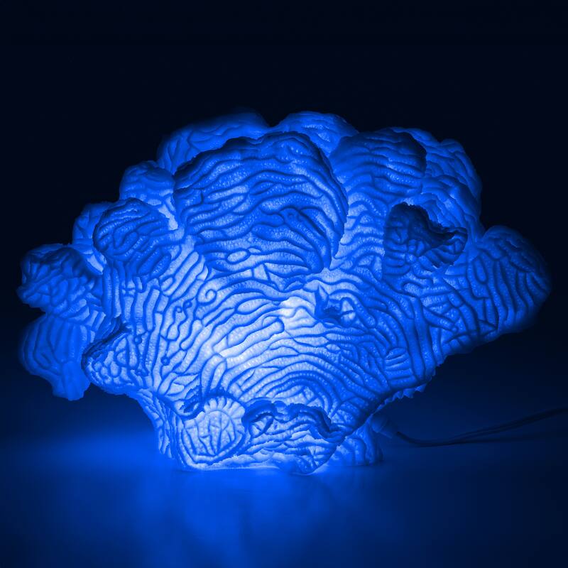 Aria Home Coral Cloud Table Lamp Sculpted Sandstone Accent Lighting