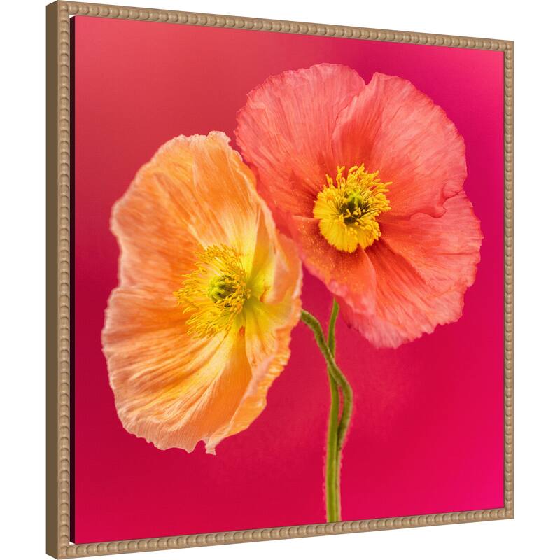 Luxuriously Lucent by Cheryl Eagers Framed Canvas Wall Art Print