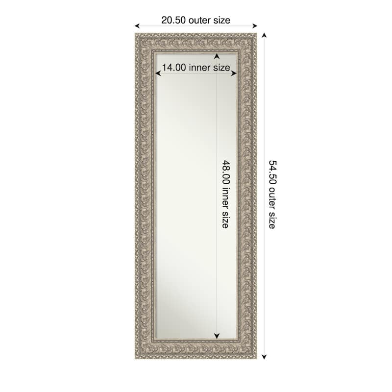 Sydney Non-Beveled Framed Full-Length On the Door Mirror - Sydney Silver - 21 x 55 in