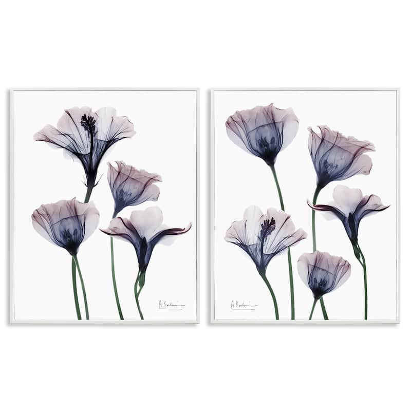 Stupell Bountiful Dusk Lilies Framed Giclee Art Design By Albert Koetsier (Set of 2) - 16 x 20 - White