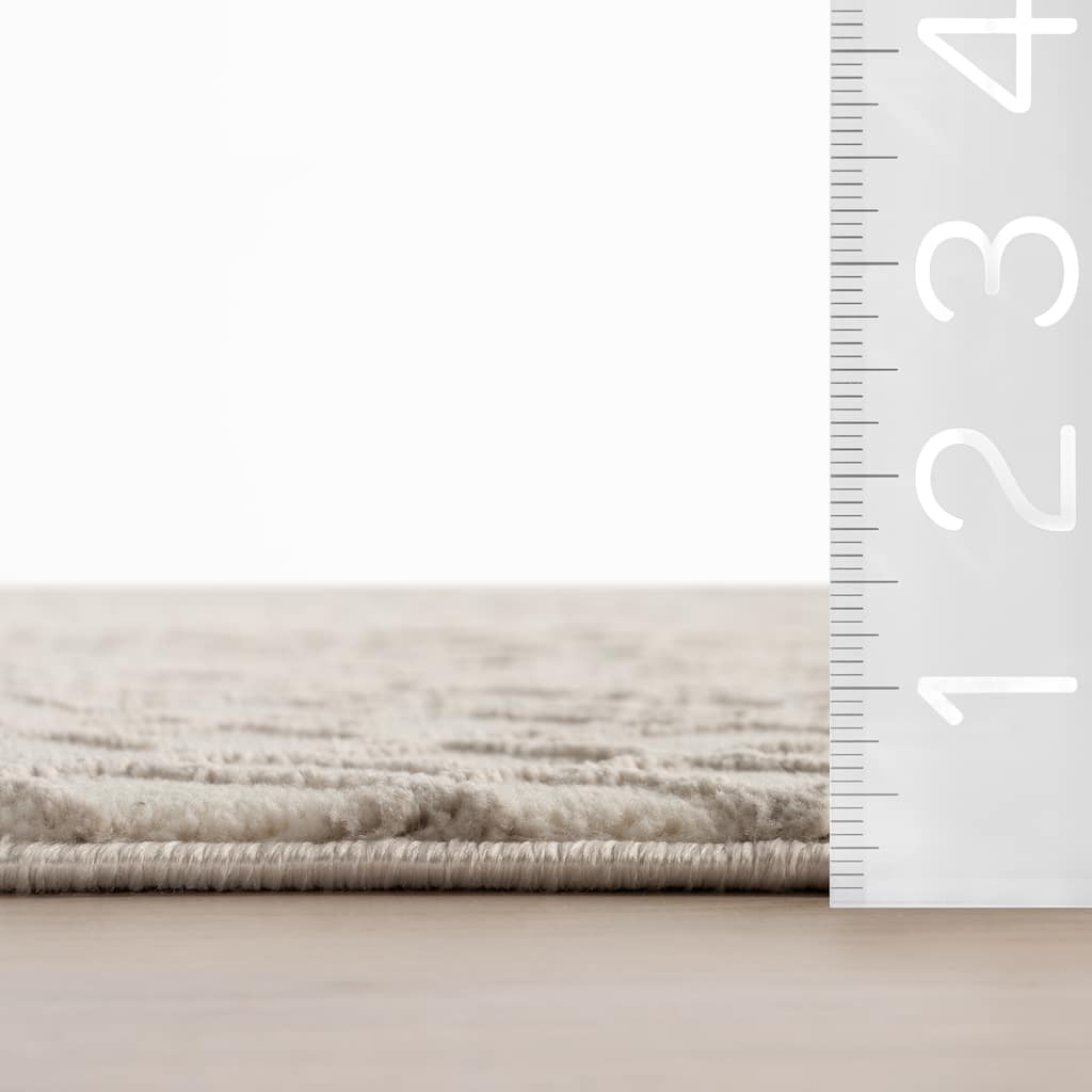 Nuloom Amireth Textured Checkered Area Rug