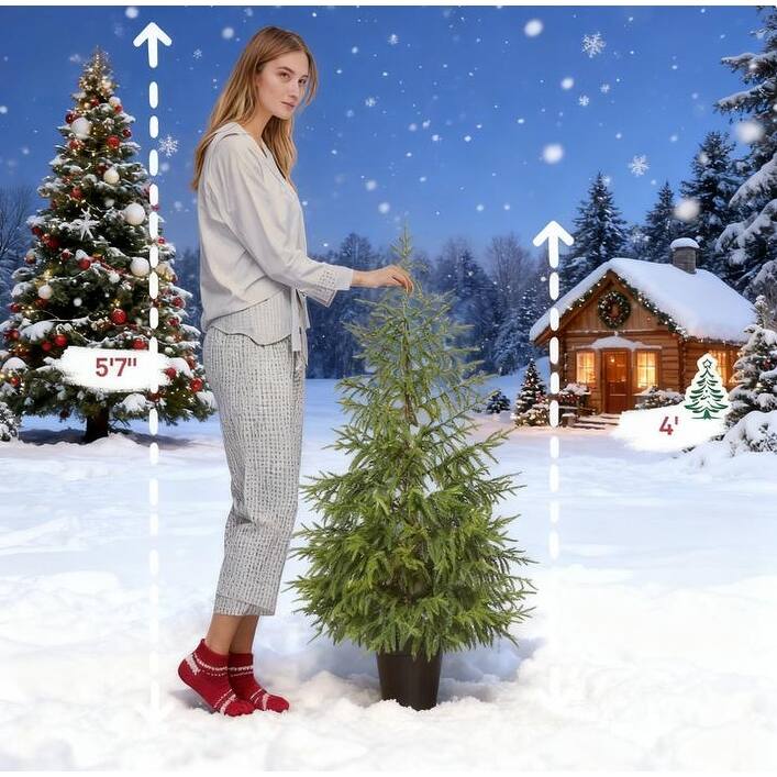 2PCS Christmas Tree, 4 ft Norflok Pine Xmas Tree with 133 Molded Tips and Pot Base