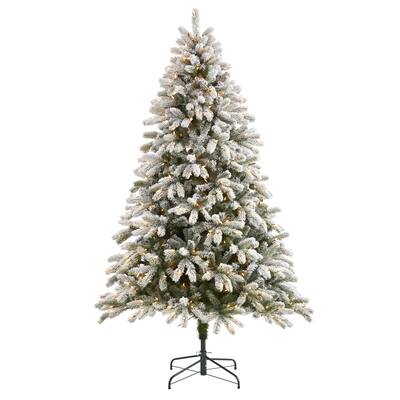 7.5' Flocked South Carolina Spruce Christmas Tree with 600 Lights - Green
